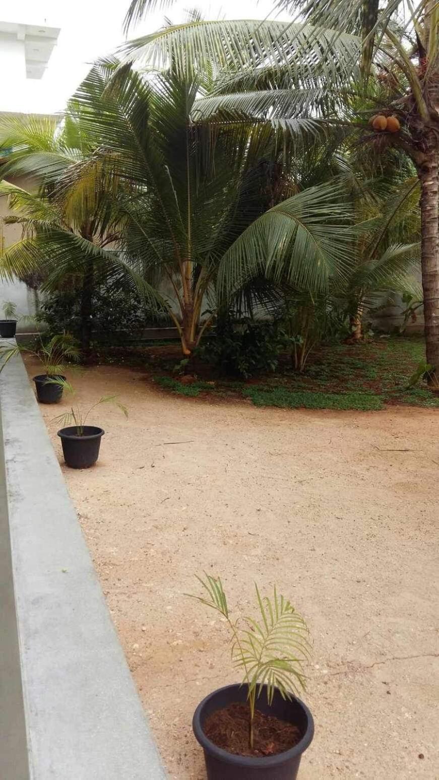 New Ocean Breeze Madiha Hotel Matara Buitenkant foto